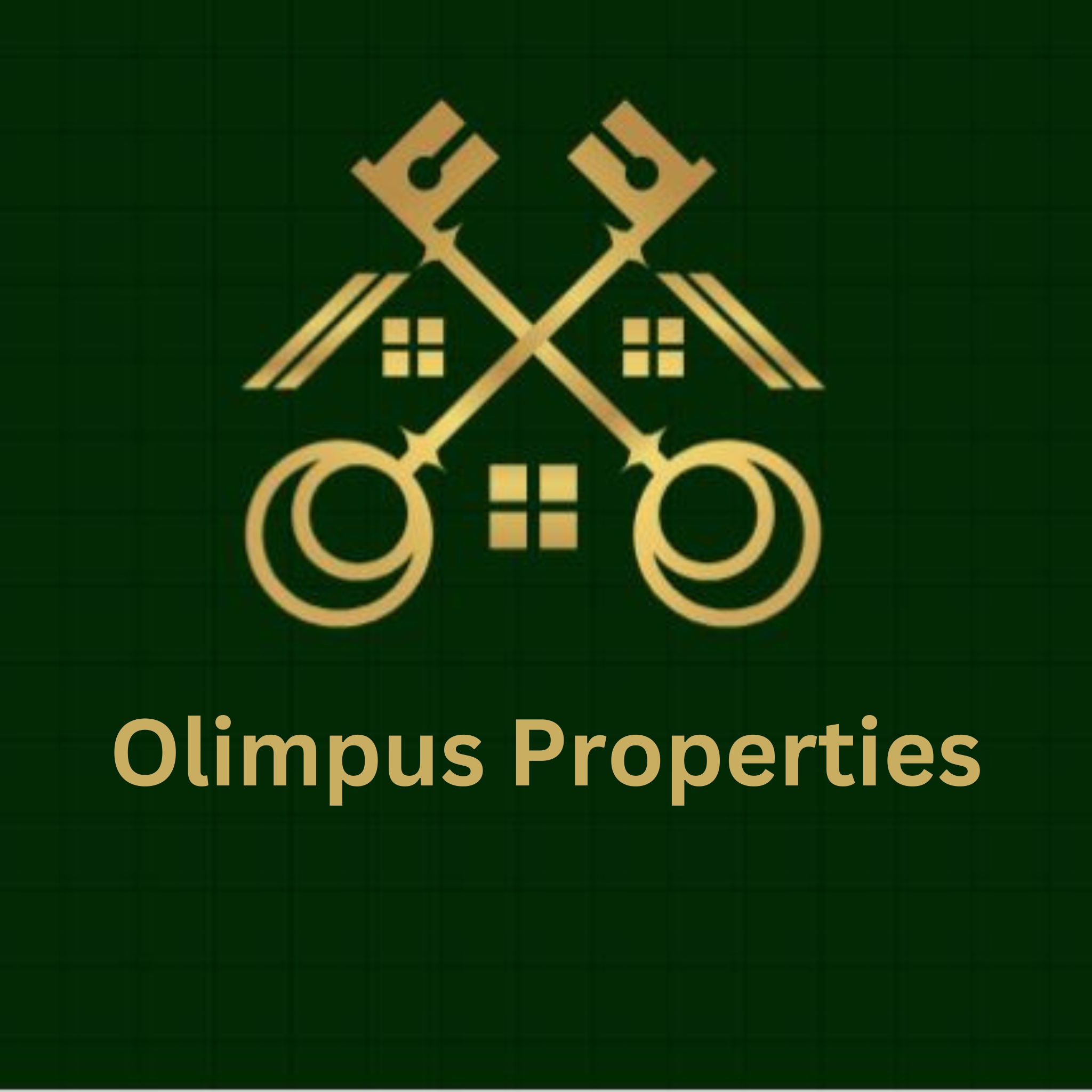 Olimpus Real Estate